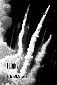 flight-web-frontcover
